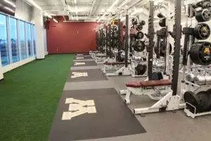 Gym Divider Curtain